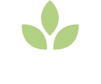Olive Power, Empowering Communities